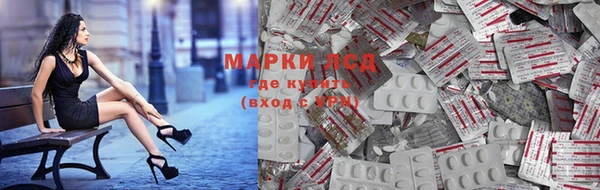 шишки Абинск