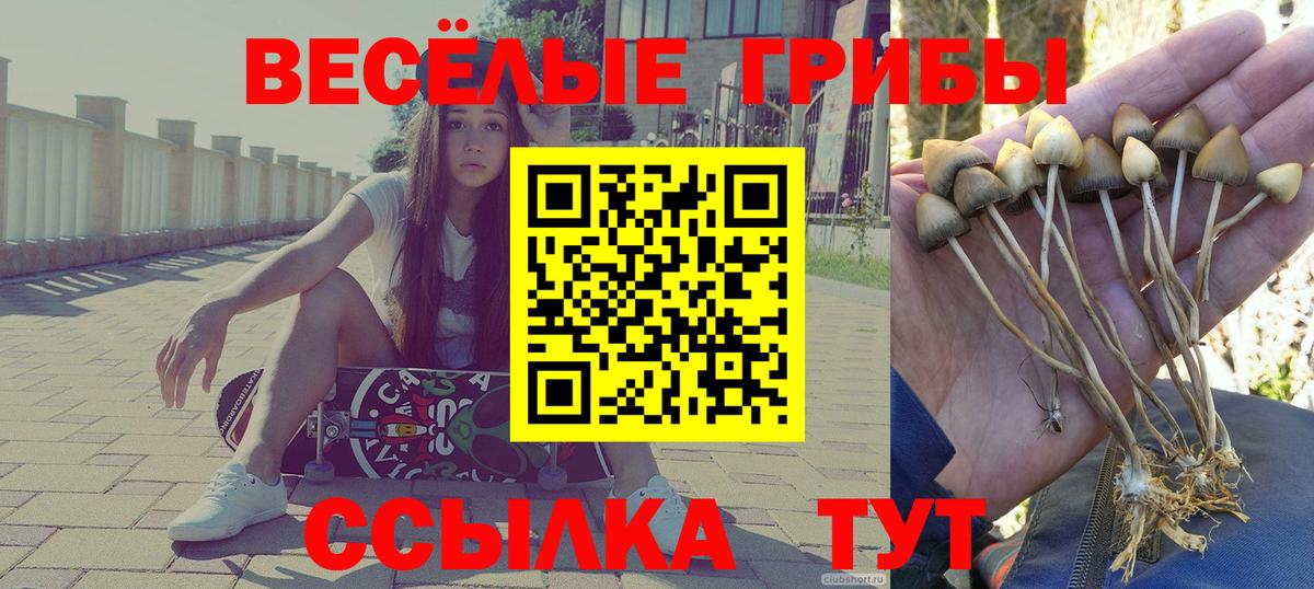 Галлюциногенные грибы Psilocybine cubensis Татарск