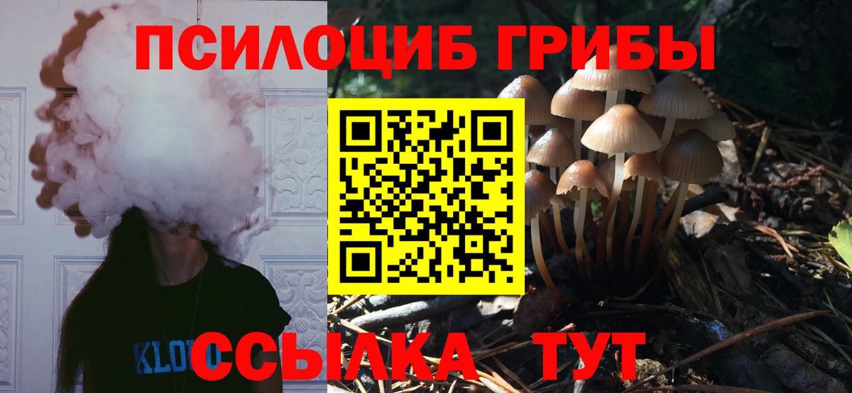 Псилоцибиновые грибы GOLDEN TEACHER  Вход с VPN  Татарск 